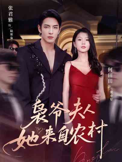 The Mafia Boss's Country Girl Poster