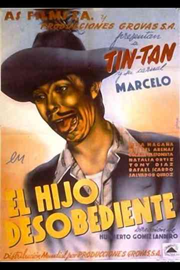 The Naughty Son Poster