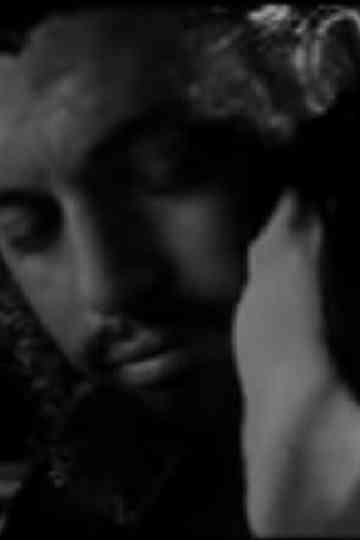 Meeting Che Guevara & the Man from Maybury Hill Poster