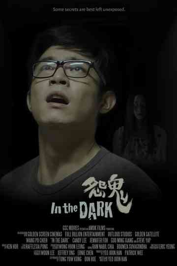 In the Dark Poster