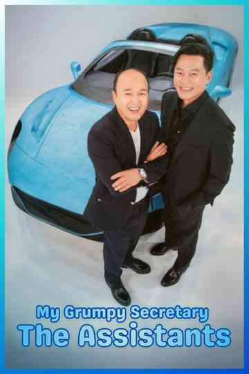 My Grumpy Secretary Poster