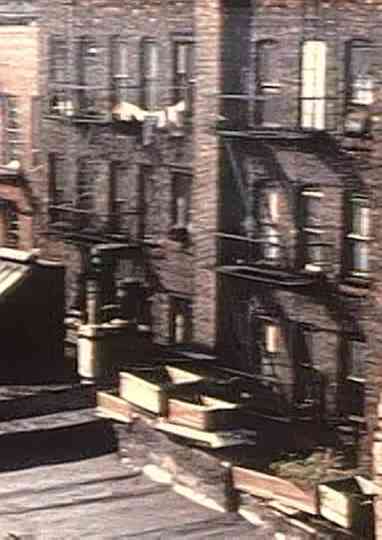 Eastside Summer Poster