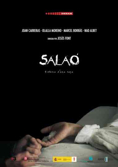 Salaó Poster