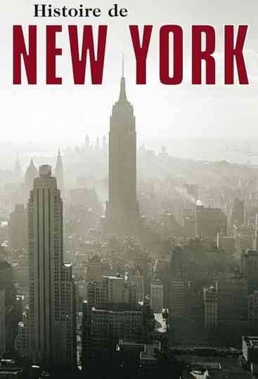 L'Histoire de New-York Poster