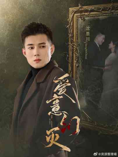 Disillusionment of Love Poster