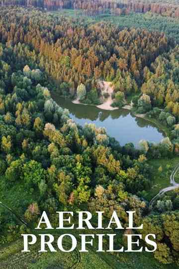 Aerial Profiles Poster