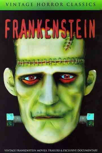 Mary Shelley's Frankenstein - A Documentary Poster
