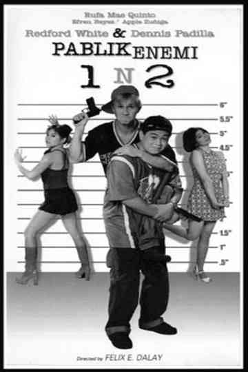 Pablik Enemi 1 n 2 Aksidental Heroes Poster