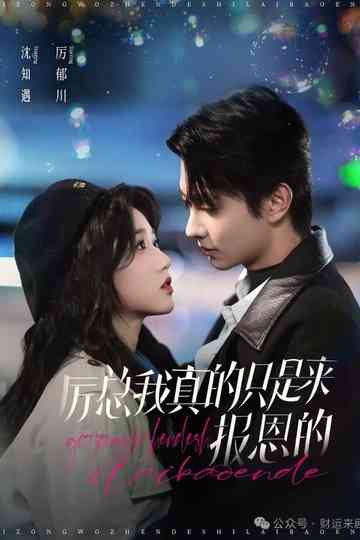 Mr. Li, I Really Just Came Here to Repay the Favor Poster