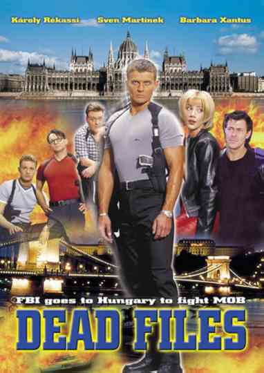 Rendőrsztori Poster