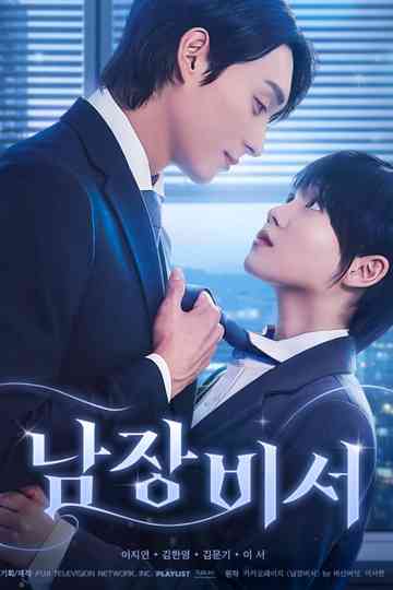 Secretary Undercover Poster