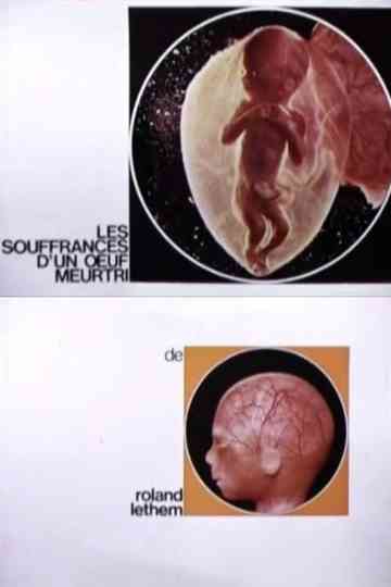 The Sufferings of a Wounded Egg Poster