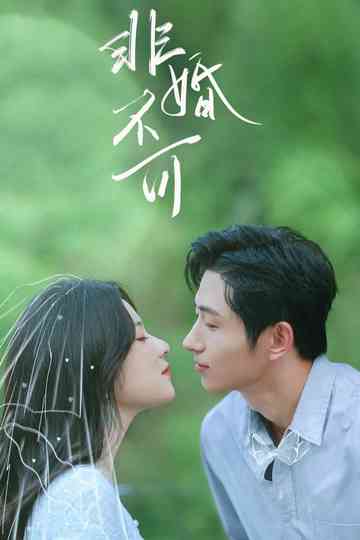 Perfect Secretary's Love Poster