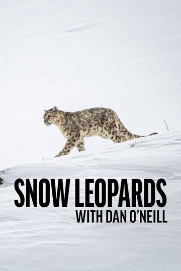 Snow Leopards with Dan O'Neill
