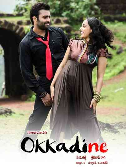 Okkadine Poster
