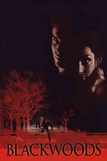 Blackwoods Poster