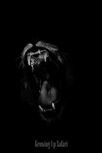 Animal Planet: Growing Up Safari Poster