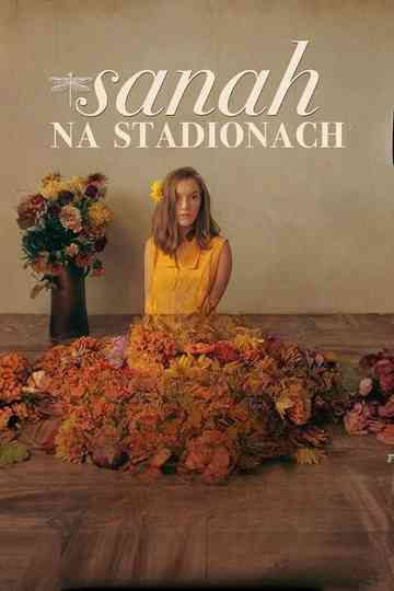 Sanah na stadionach Poster