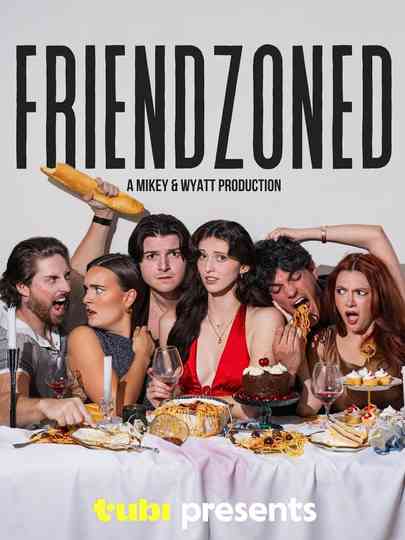 Friendzoned Poster