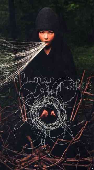 Björk Volumen Poster
