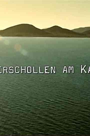 Lost in the Cape Poster