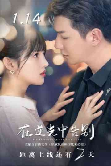 Bid Farewell in the Backlight Poster