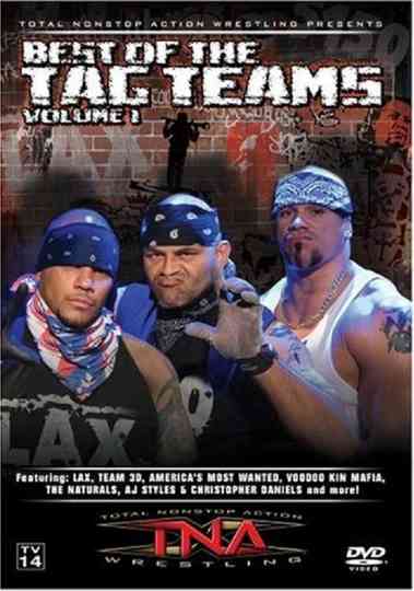 TNA Wrestling: Best of Tag Teams, Volume 1 Poster