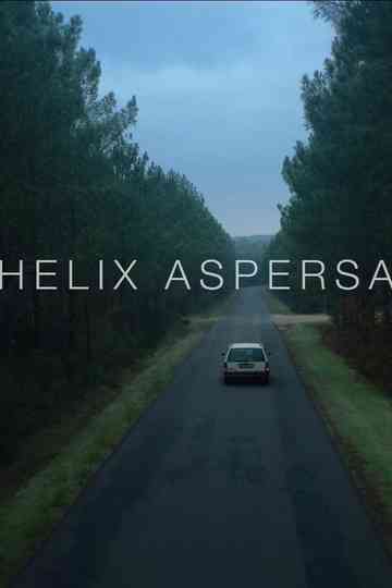 Helix Aspersa Poster