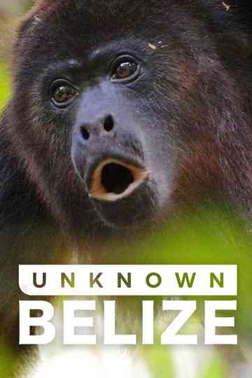 Unknown Belize Poster