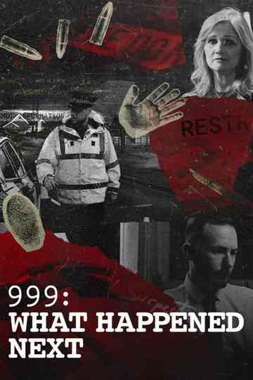 999: What Happened Next Poster