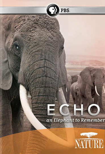 Echo An Elephant to Remember