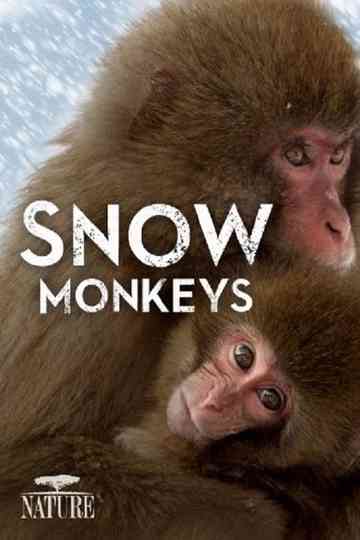 Wild Japan: Snow Monkeys poster