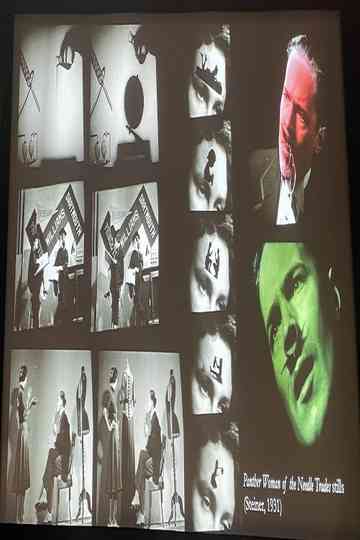 Panther Woman of the Needle Trades, or The Lovely Life of Little Lisa Poster