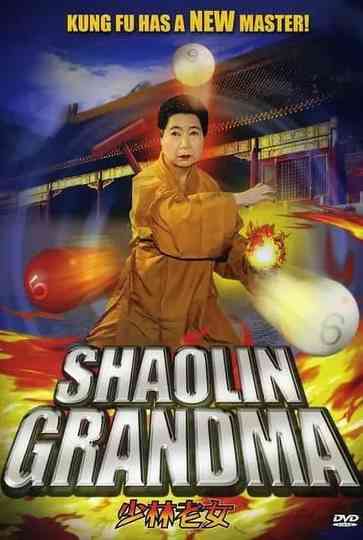 Shaolin Grandma Poster