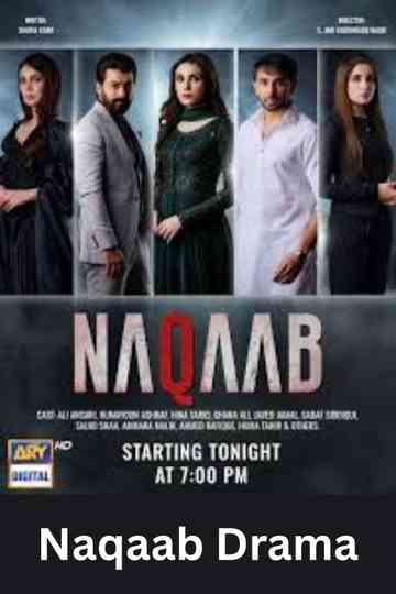 Naqaab Poster