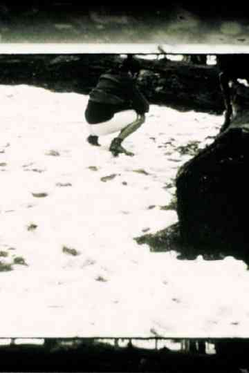 Im Wiener Prater Poster