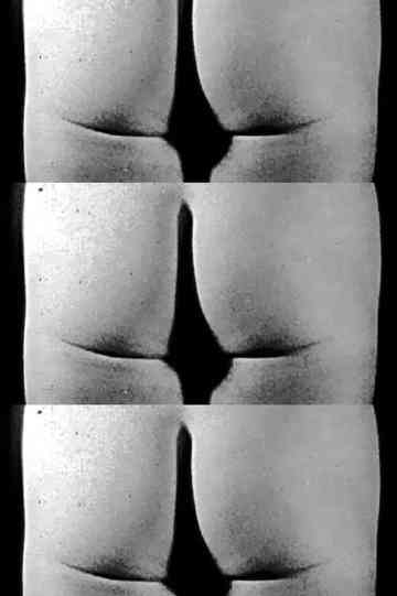 Taylor Meads Ass Poster