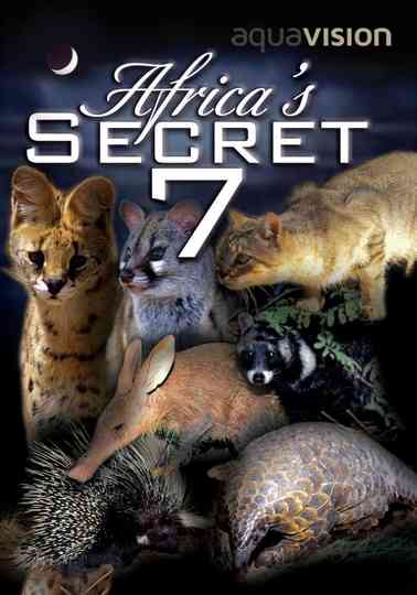Africas Secret Seven Poster