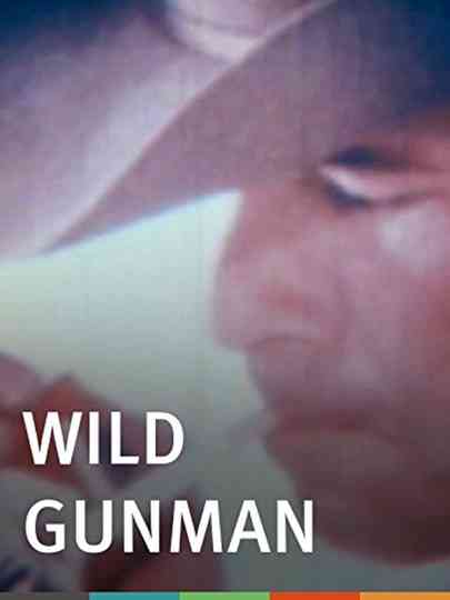 Wild Gunman Poster