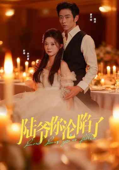 Falling for Mr. Lu Poster