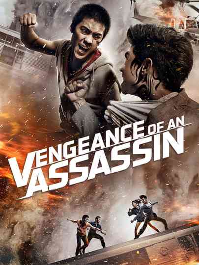 Vengeance of an Assassin Poster