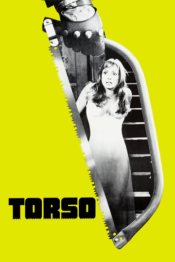 Torso Poster