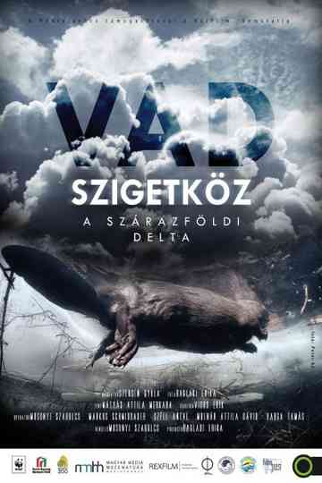 Szigetköz - The Inland Delta of the River Danube Poster