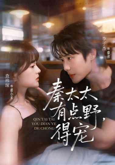 Doting Feisty Mrs. Qin Poster