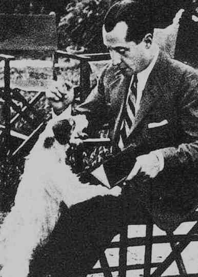 Bibliotecafalangista Poster