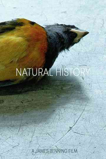 Natural History Poster