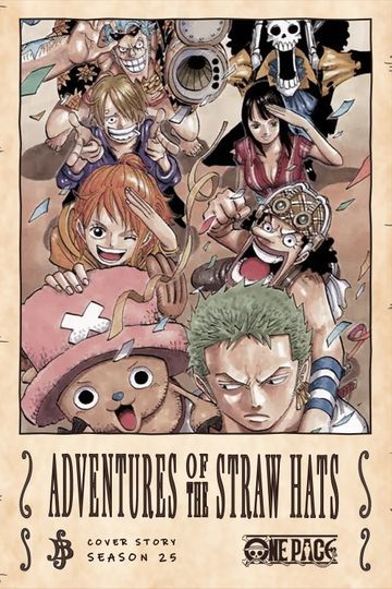 If You Could Go Anywhere... The Adventures of the Straw Hats