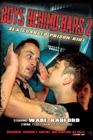 Boys Behind Bars 2 Poster