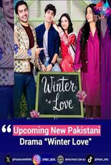 Winter Love Poster
