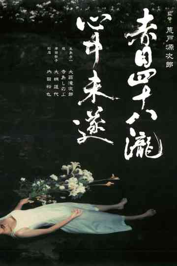 Akame 48 Waterfalls Poster